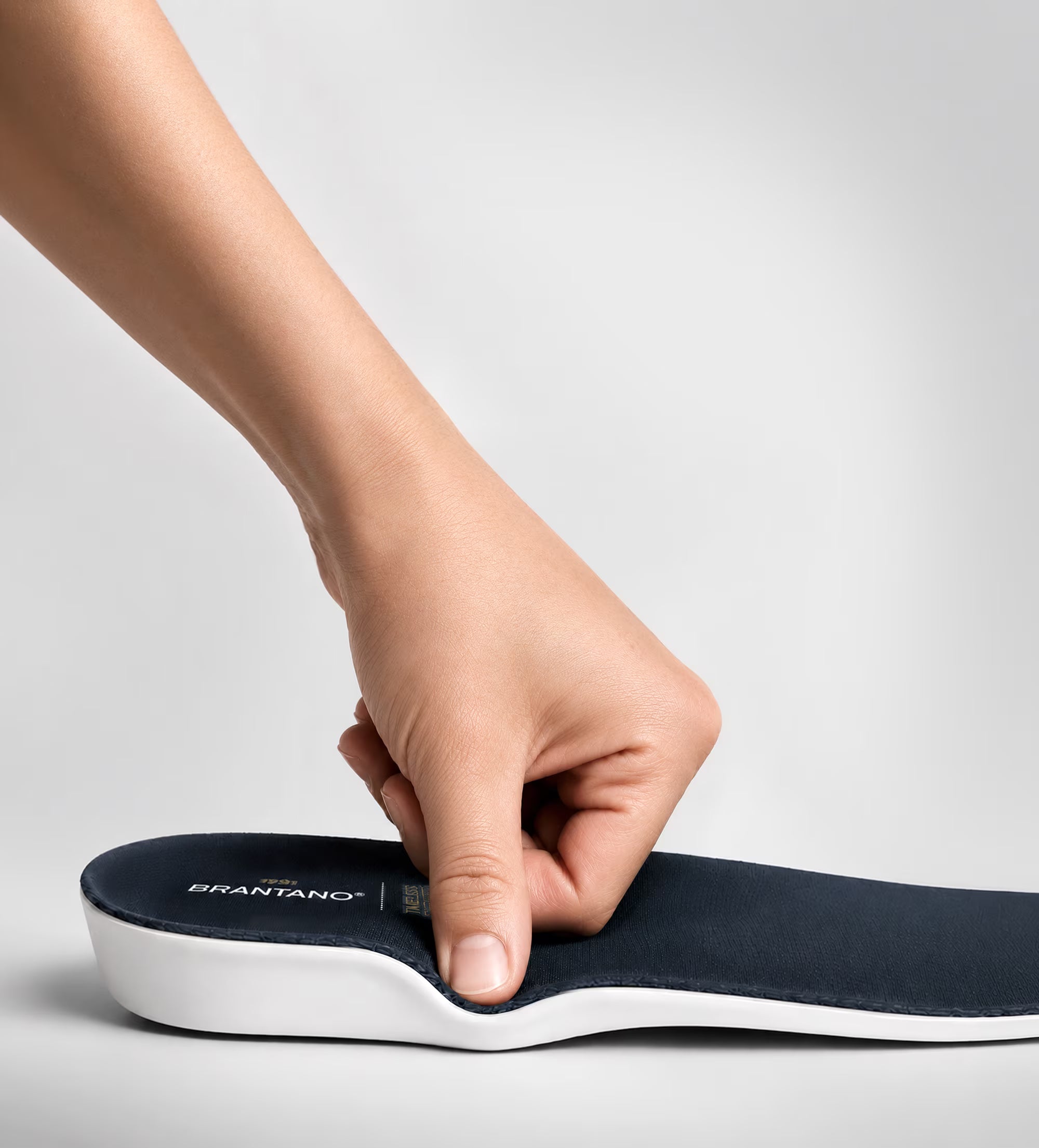 PLANTILLA EVERFIT TECHNOLOGY